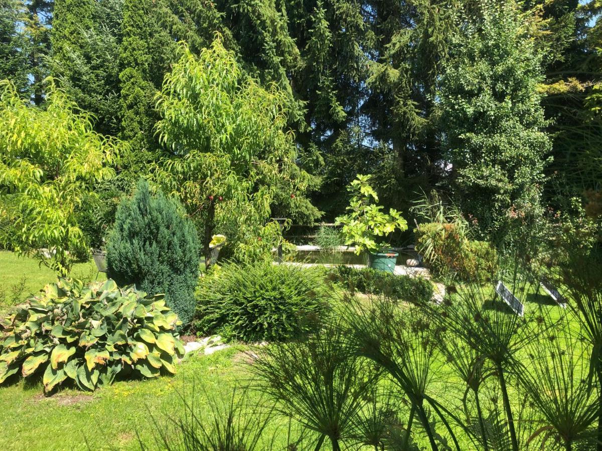 Ferienwohnung Design & Natur Fronreute Zewnętrze zdjęcie